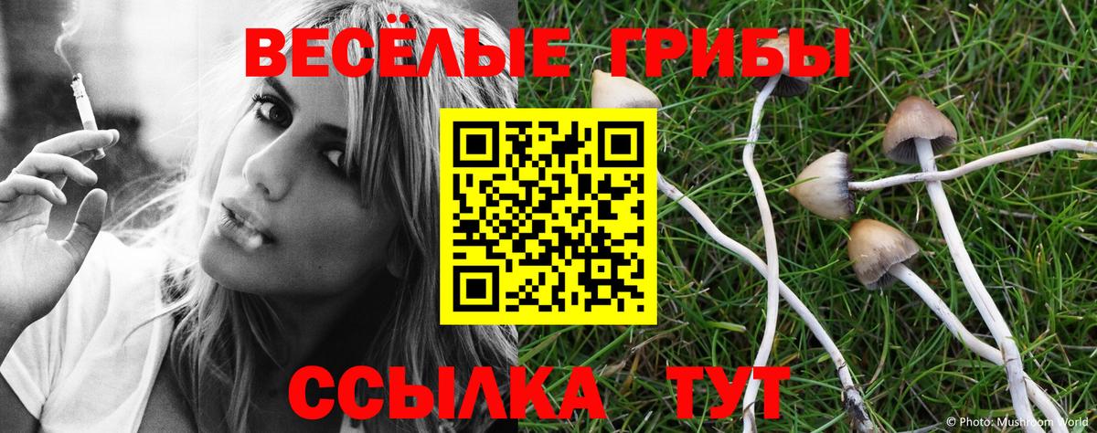 Псилоцибиновые грибы Cubensis Асино