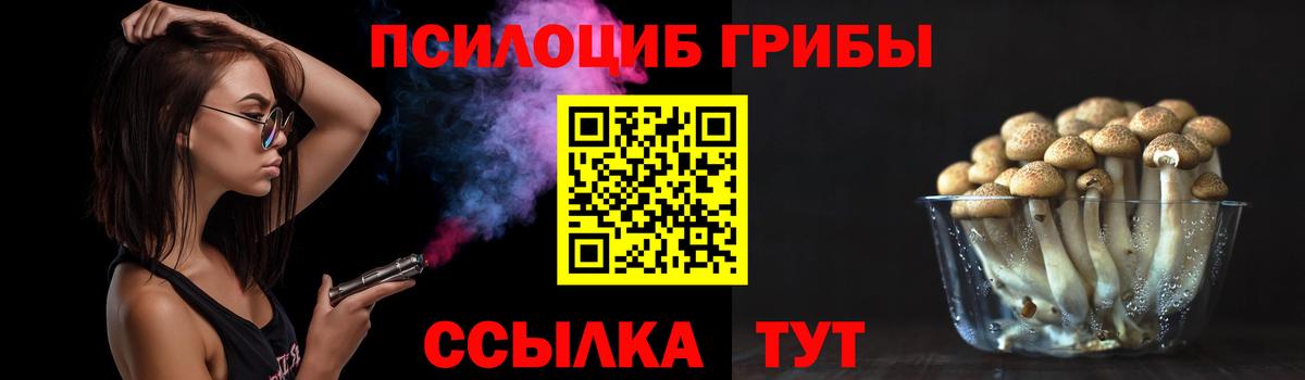цена   Псилоцибиновые грибы прущие грибы  Вход с VPN  Асино 